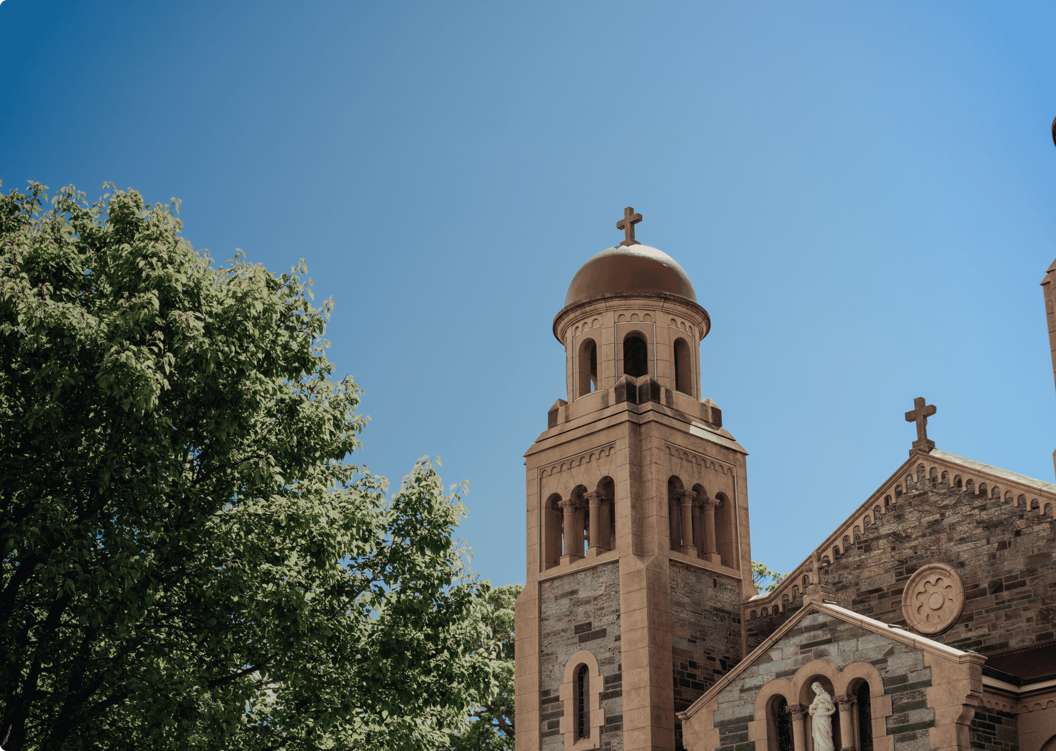 Sacred Heart College Annual Giving