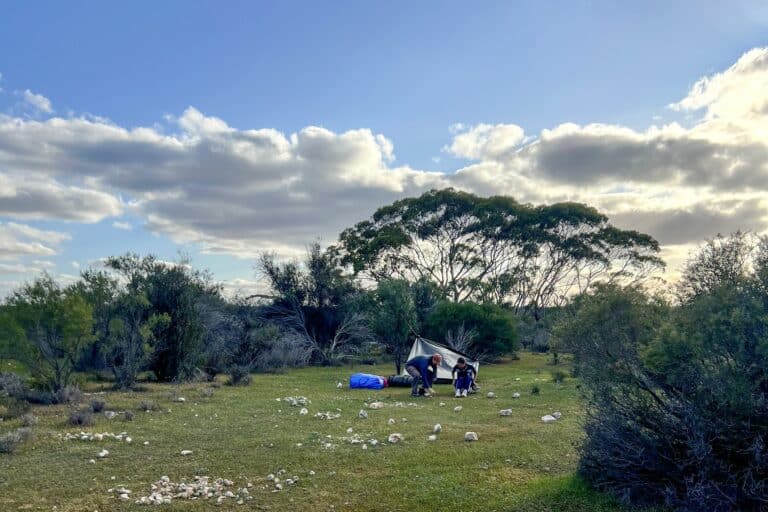 491629170_1211425524326539_2160250723830405087_n