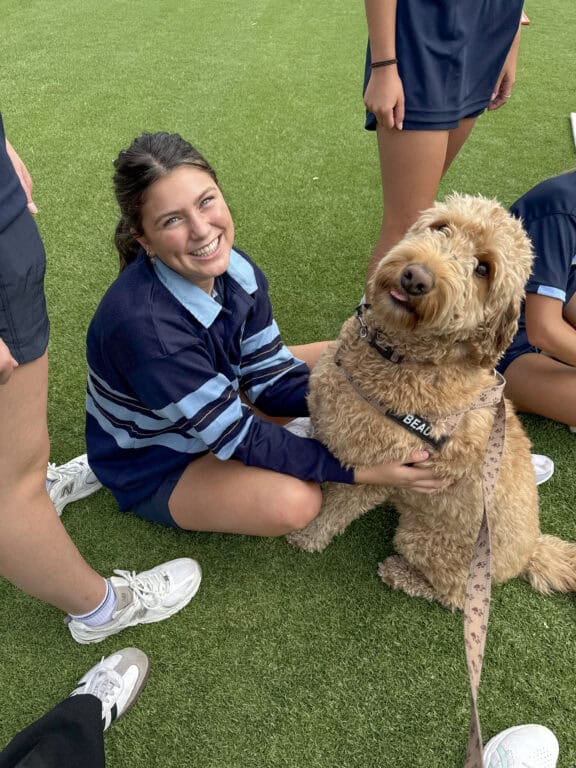 Welcoming our Sacred Heart College 2026 Wellbeing Dogs