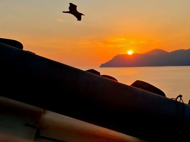 Celebrating Arts Week 2026