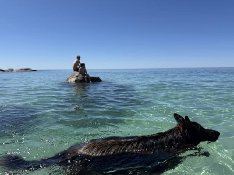 Celebrating Arts Week 2026