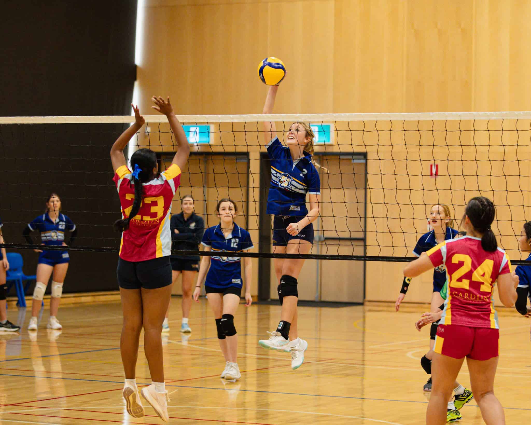 495573051_1232188408916917_5354766419942587792_n