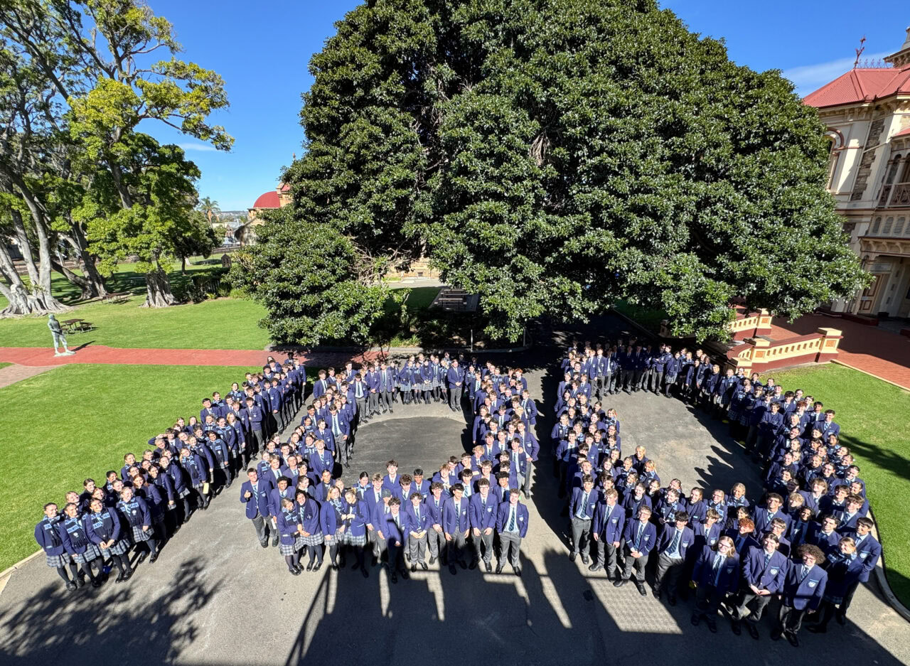100 Days of Year 12 to go