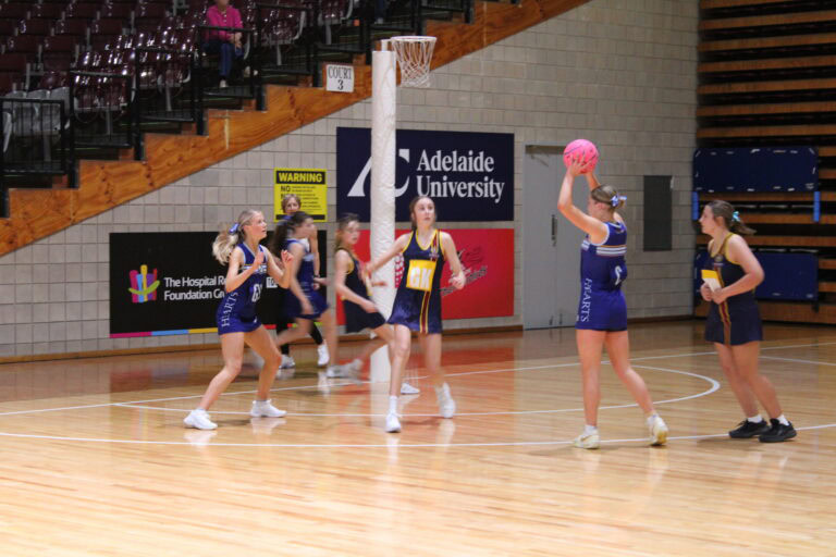 8SHC1 Netball