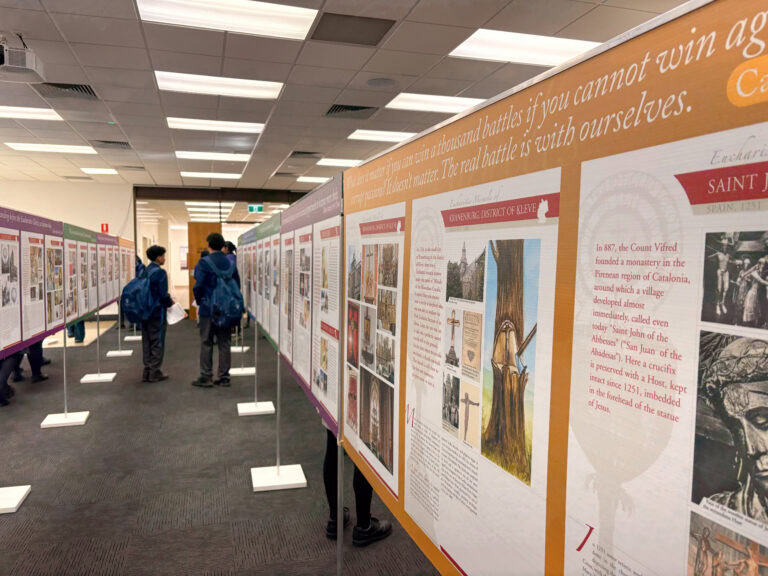IMG_5307